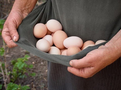 Gavran / Country Eggs – Farm Fresh, High Protein & Pure Nutrition