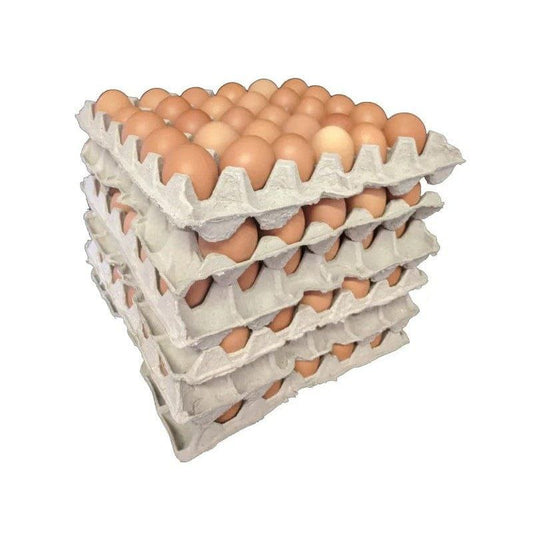 Gavran / Country Eggs – Farm Fresh, High Protein & Pure Nutrition