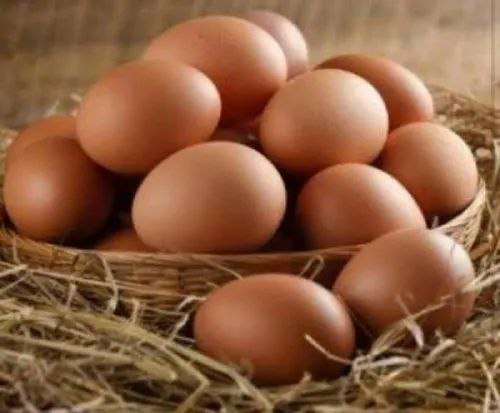 Gavran / Country Eggs – Farm Fresh, High Protein & Pure Nutrition