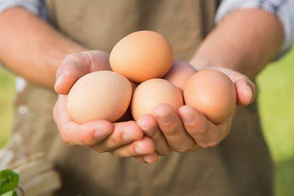 Gavran / Country Eggs – Farm Fresh, High Protein & Pure Nutrition